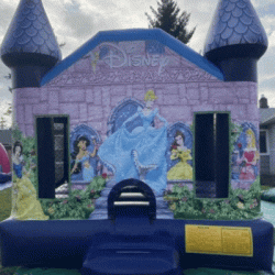 Disney Princess Bounce House