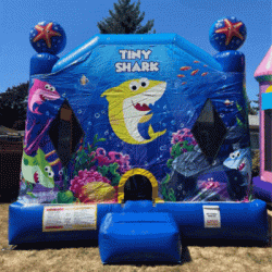 ($50 Off!) Tiny Shark Slide Combo 4 in 1 (Dry)