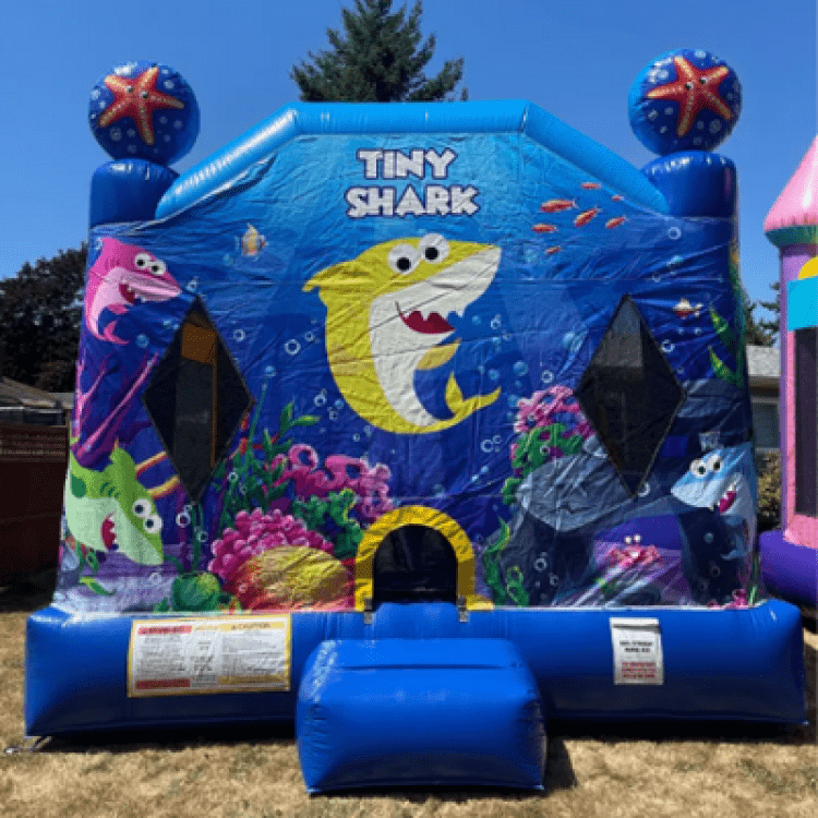 Tiny Shark Slide Combo 4 in 1 (Wet)