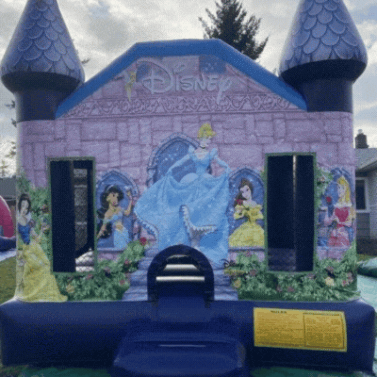 Disney Princess Bounce House